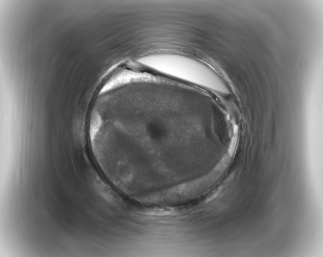 X0000084560386200703161708