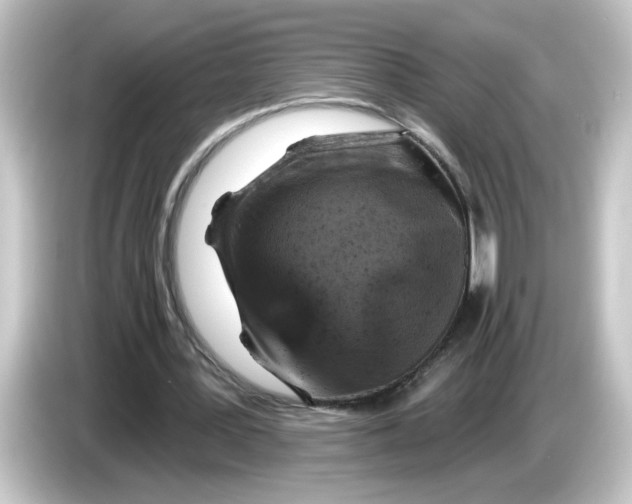 X0000084560387200703161708