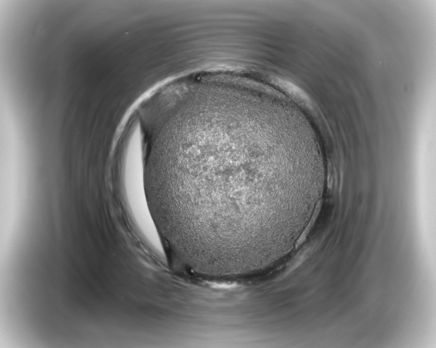 X0000084560388200703161708