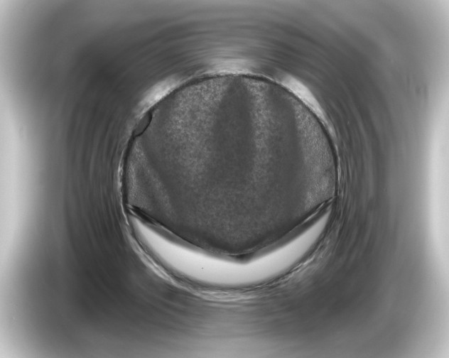 X0000084560389200703161708