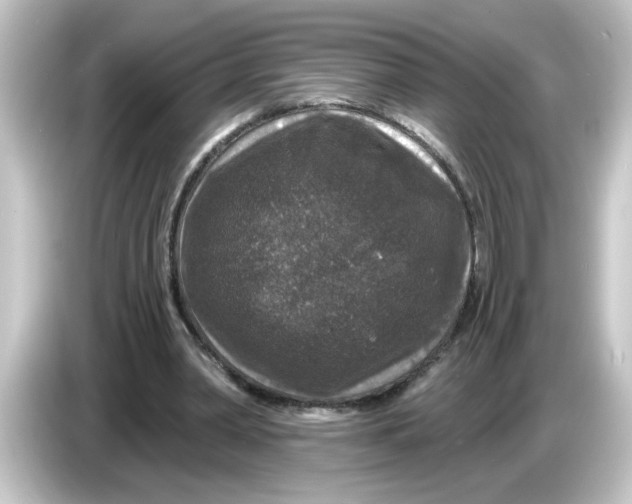 X0000084560390200703161708