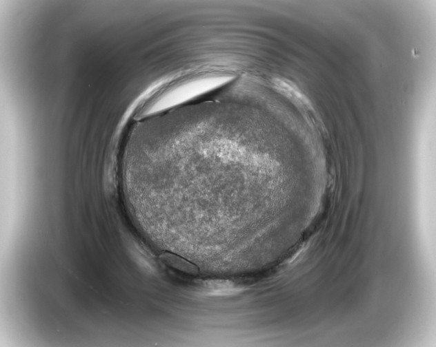 X0000084560392200703161708