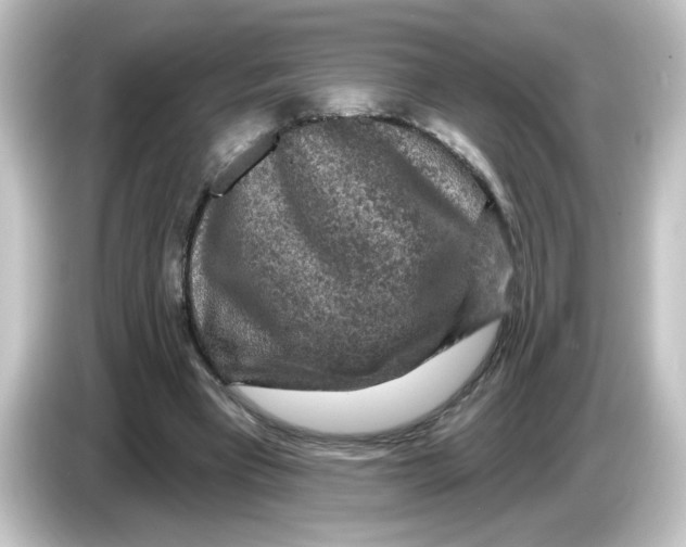 X0000084560393200703161708