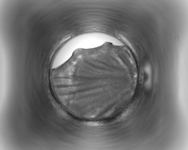 X0000084560394200703161708