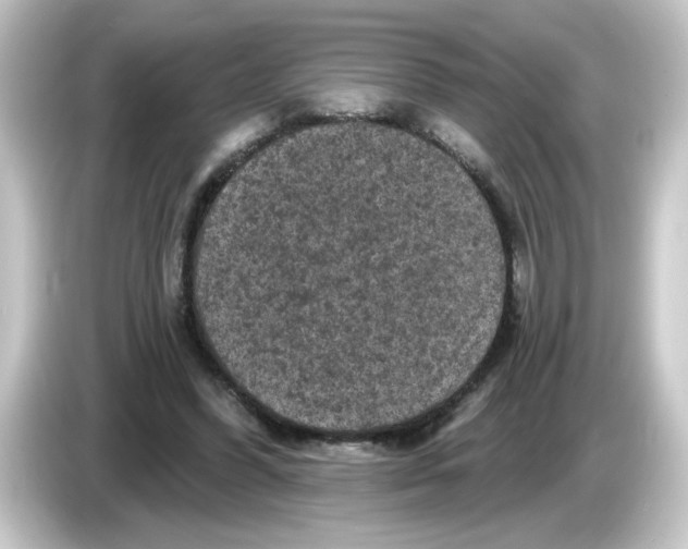 X0000084560396200703161708