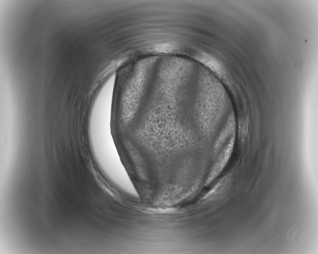 X0000084560397200703161708