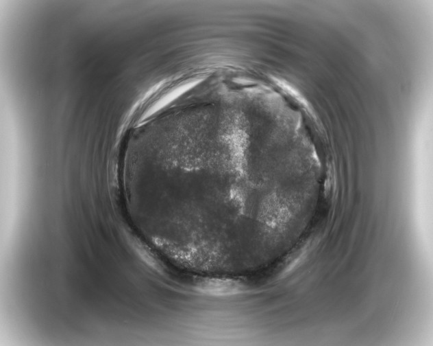 X0000084560399200703161708