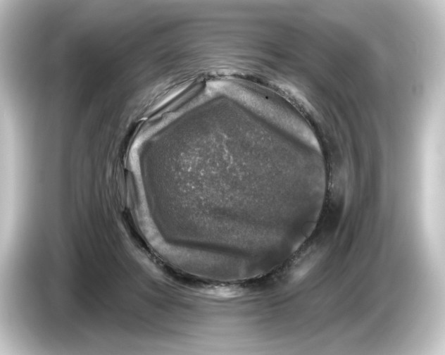 X0000084560402200703161708