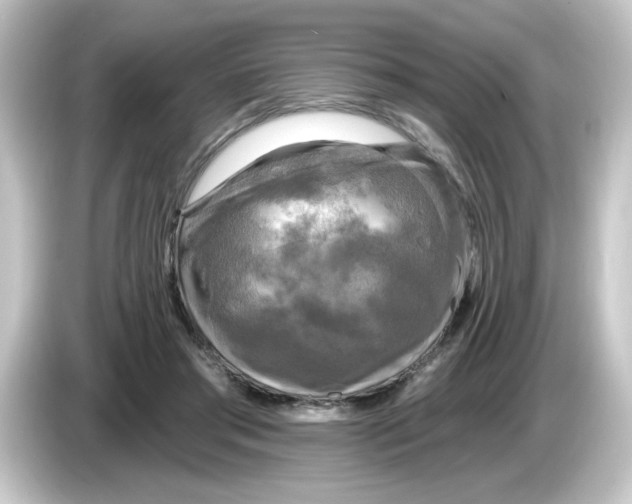 X0000084560405200703161708