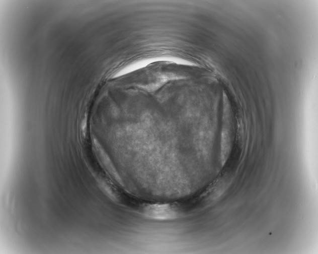 X0000084560406200703161708