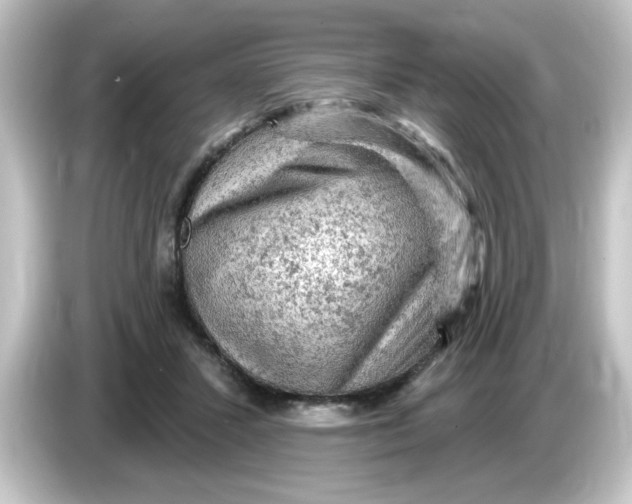 X0000084560407200703161708