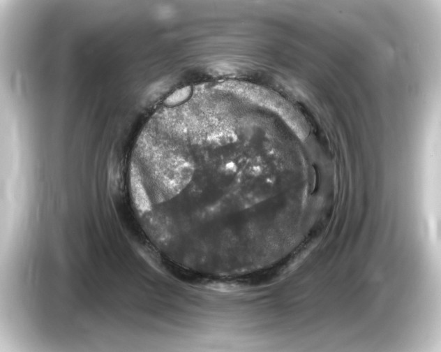 X0000084560408200703161708