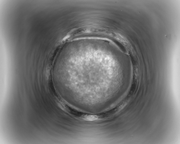 X0000084560409200703161708