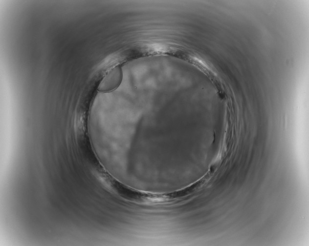 X0000084560410200703161708