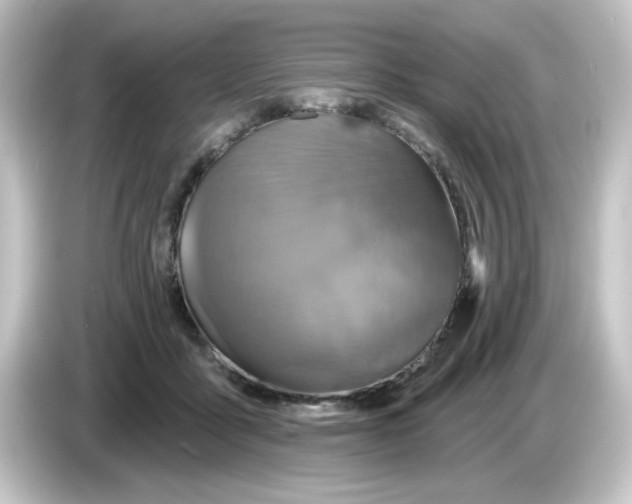 X0000084560411200703161708