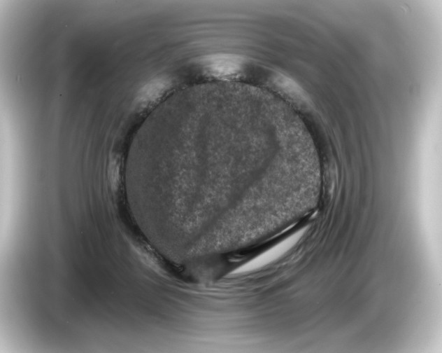 X0000084560412200703161708