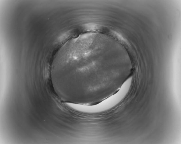 X0000084560413200703161708