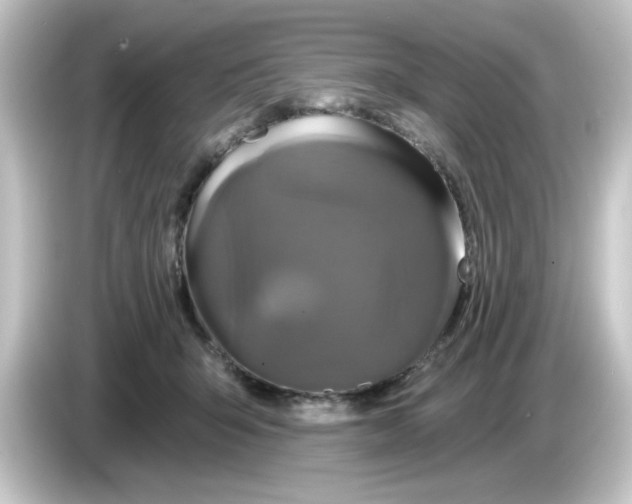 X0000084560415200703161708