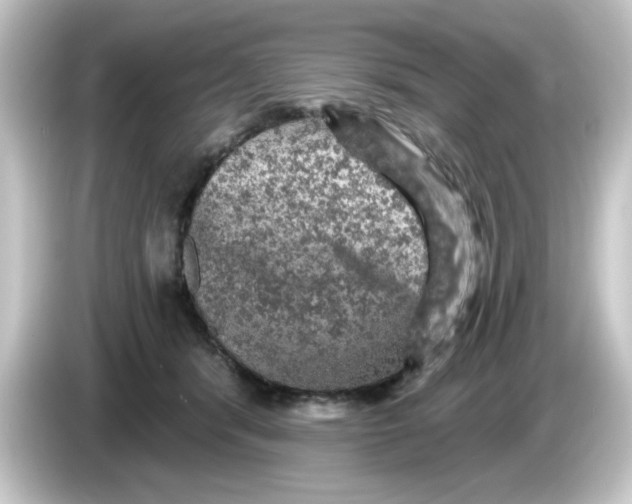 X0000084560416200703161708