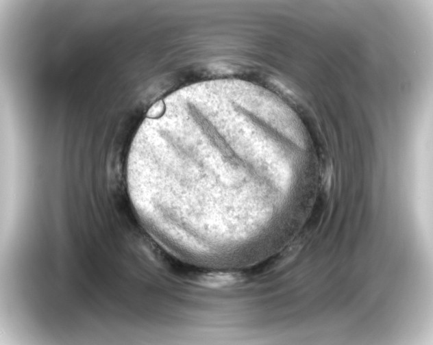 X0000084560418200703161708