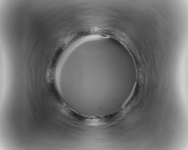 X0000084560419200703161708