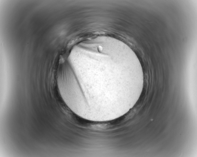 X0000084560422200703161708