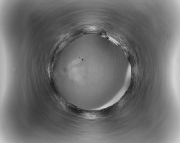 X0000084560423200703161708