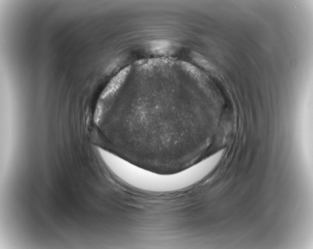 X0000084560424200703161708