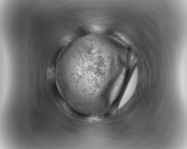 X0000084560425200703161708