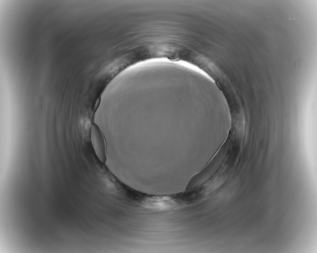 X0000084560427200703161707