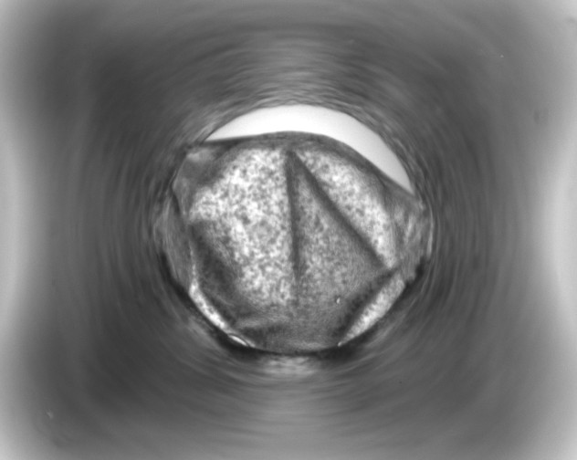 X0000084560428200703161707