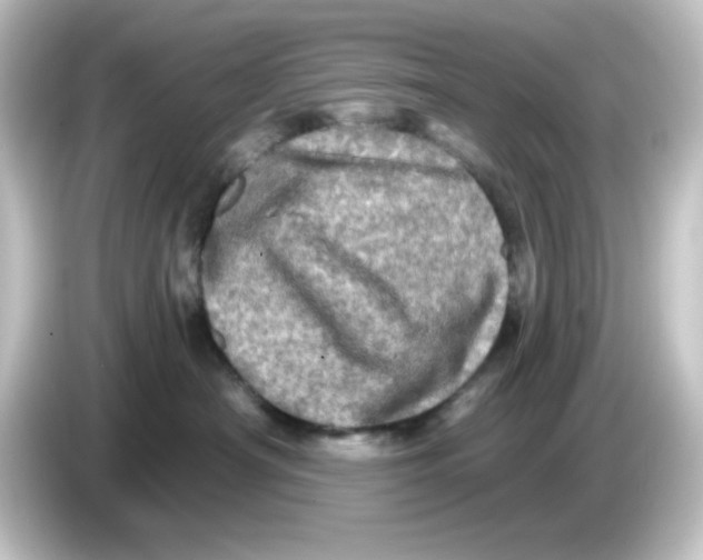 X0000084560430200703161707