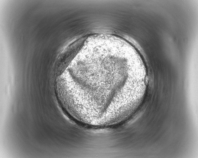 X0000084560433200703161707