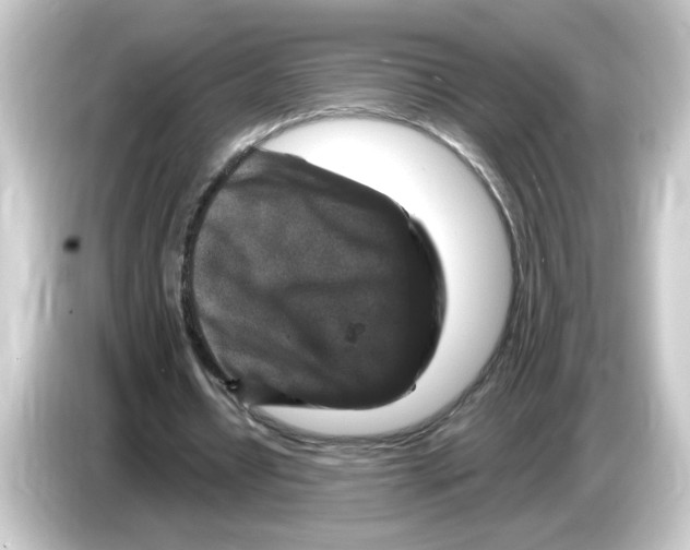 X0000084560434200703161707