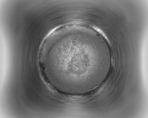 X0000084560436200703161707