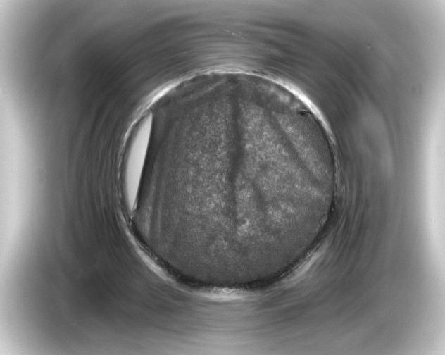 X0000084560437200703161707