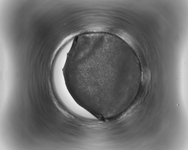 X0000084560438200703161707