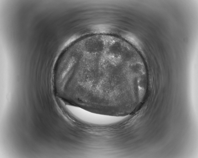 X0000084560439200703161707