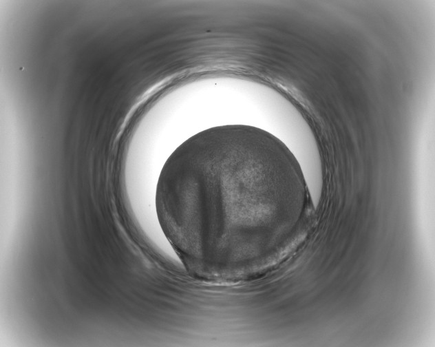 X0000084560440200703161707