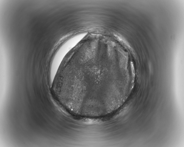 X0000084560442200703161707