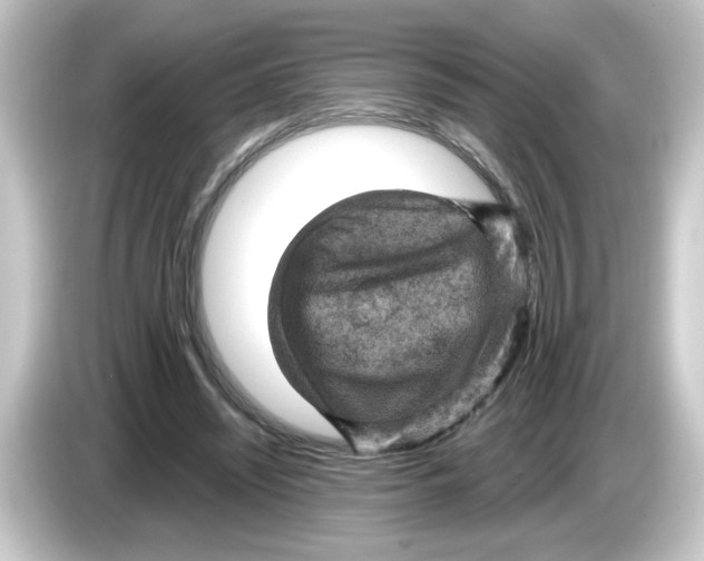 X0000084560444200703161707