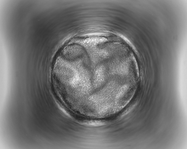 X0000084560445200703161707