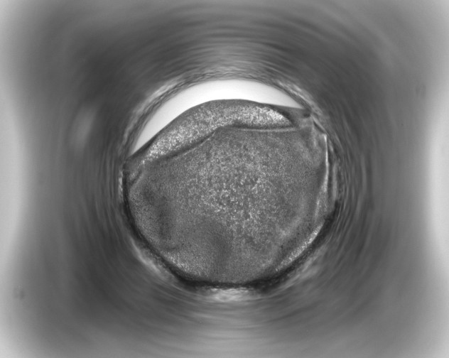 X0000084560446200703161707