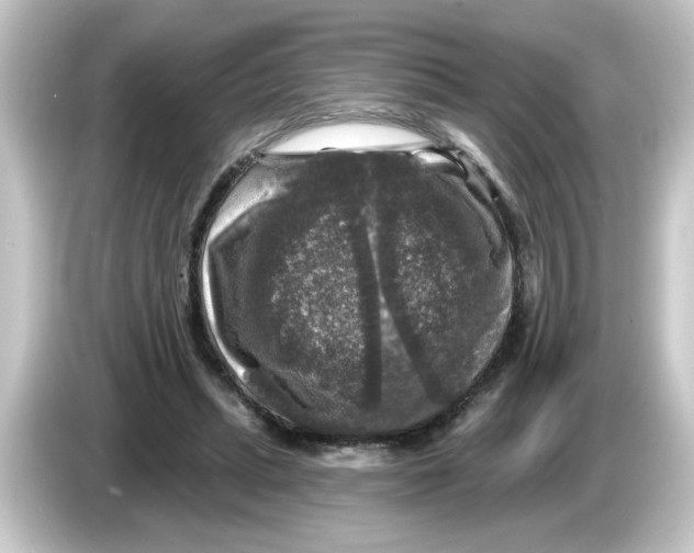 X0000084560447200703161707