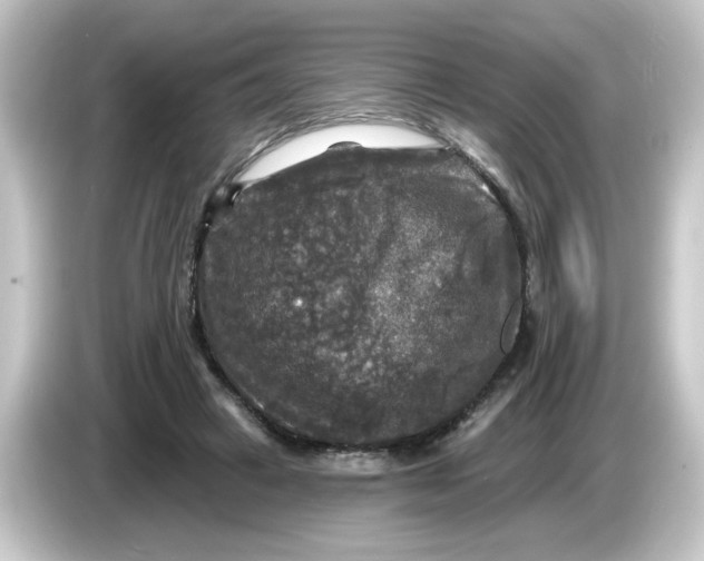 X0000084560449200703161707