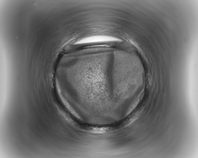 X0000084560450200703161707