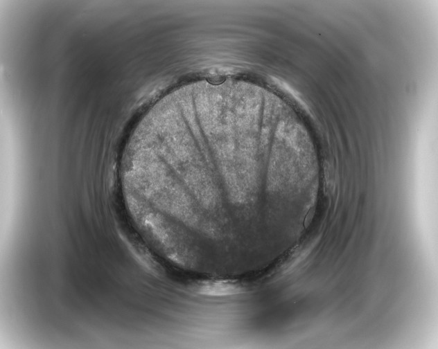 X0000084560451200703161707