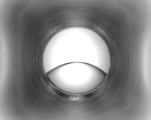 X0000084560452200703161707