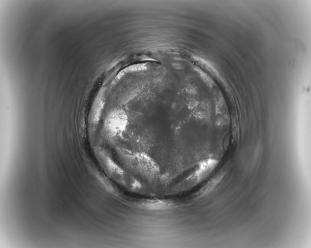 X0000084560453200703161707