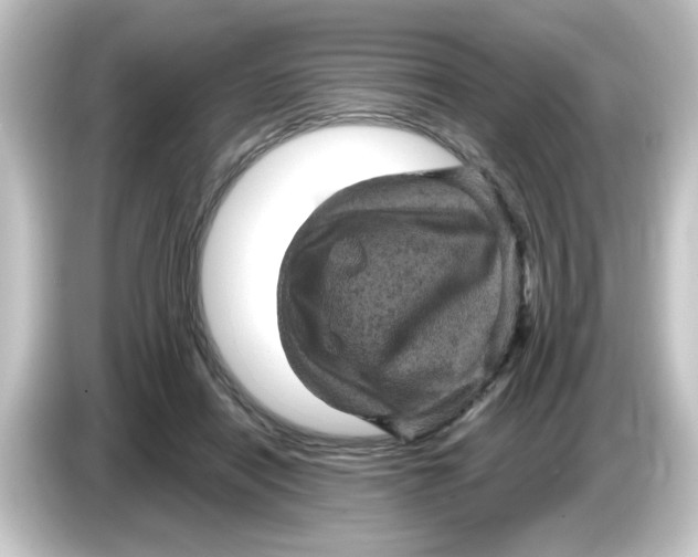 X0000084560454200703161707